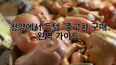 청양에서 득템?! ✨ 중고차 구매 완벽 가이드 🚗💨